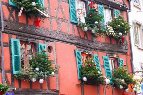 ALSACIA - Colmar (10)