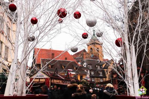 ALSACIA - Colmar (11)
