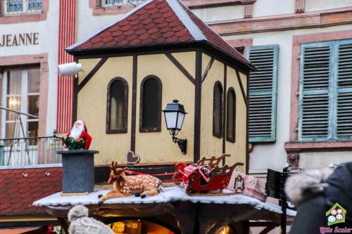 ALSACIA - Colmar (12)
