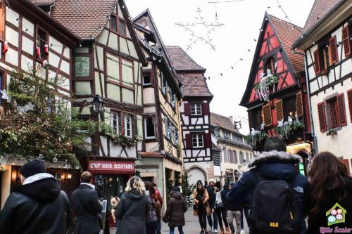ALSACIA - Colmar (13)