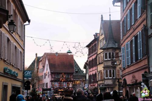 ALSACIA - Colmar (14)