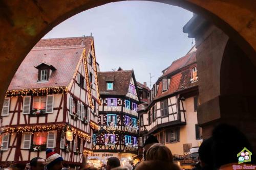 ALSACIA - Colmar (15)