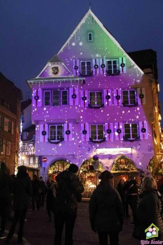 ALSACIA - Colmar (21)