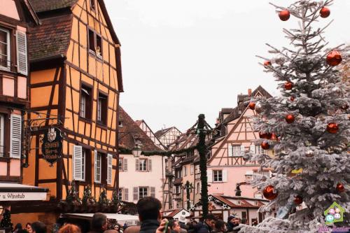ALSACIA - Colmar (7)