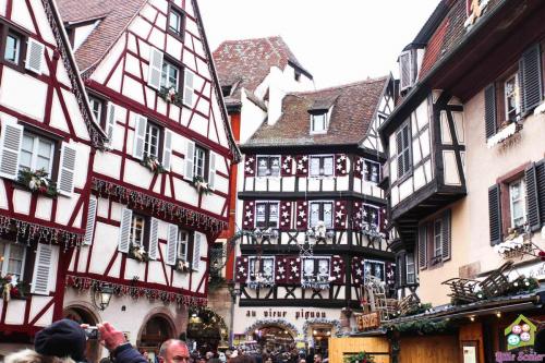 ALSACIA - Colmar (8)