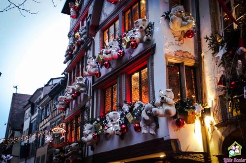 ALSACIA - Estrasburgo (11)