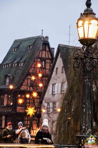 ALSACIA - Estrasburgo (14)
