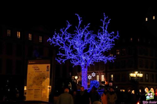 ALSACIA - Estrasburgo (5)