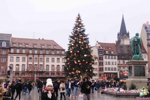 ALSACIA - Estrasburgo (6)